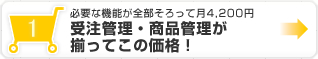必要な機能が全部そろって月4,200円 受注管理・商品管理が揃ってこの価格!