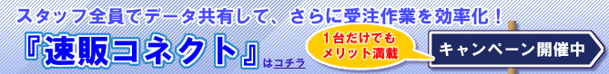 ������p�啝�_�E���u1�䂾���ł��w���̃R�l�N�g�x�L�����y�[���v
